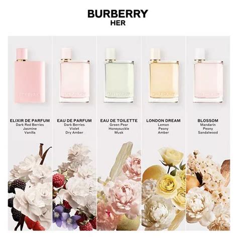 her by burberry dupe|scents like burberry her.